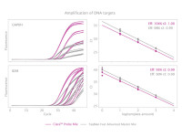 PB20.65-03 Clara® Probe Purple Mix Lo-ROX ( 600 x 20 ul rxns )